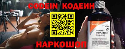 мдпв Камышлов