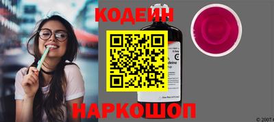 мдпв Камышлов