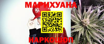 мдпв Камышлов