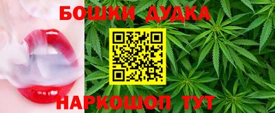 мдпв Камышлов