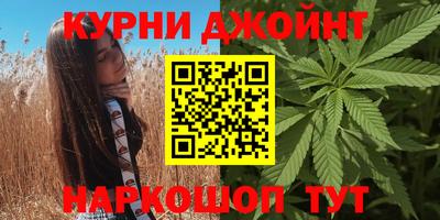 мдпв Камышлов