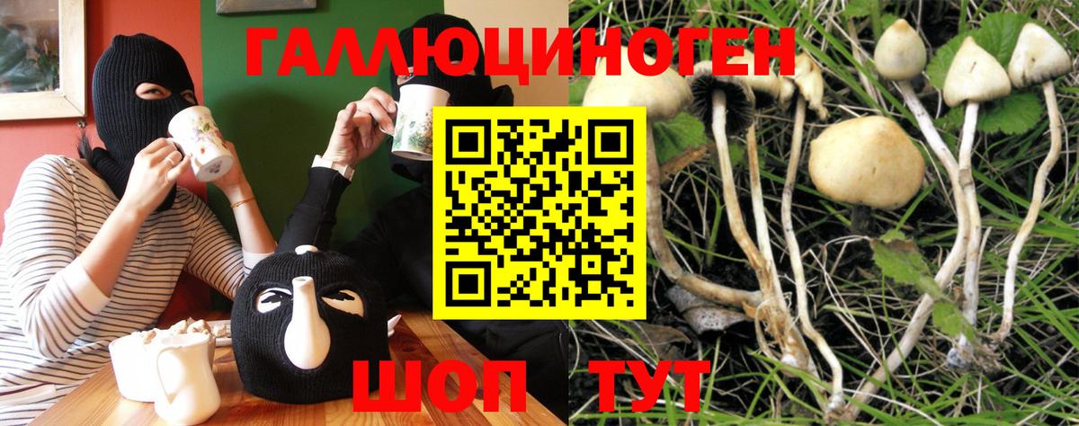 Феодосия  Галлюциногенные грибы Psilocybine cubensis  Вход с VPN 