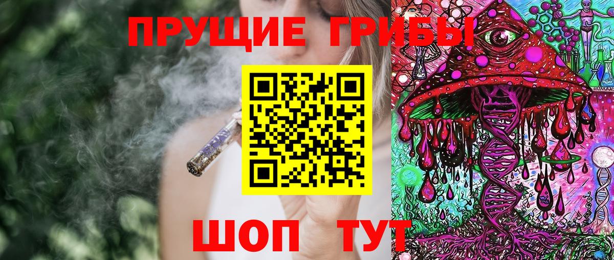 Псилоцибиновые грибы Psilocybe Феодосия